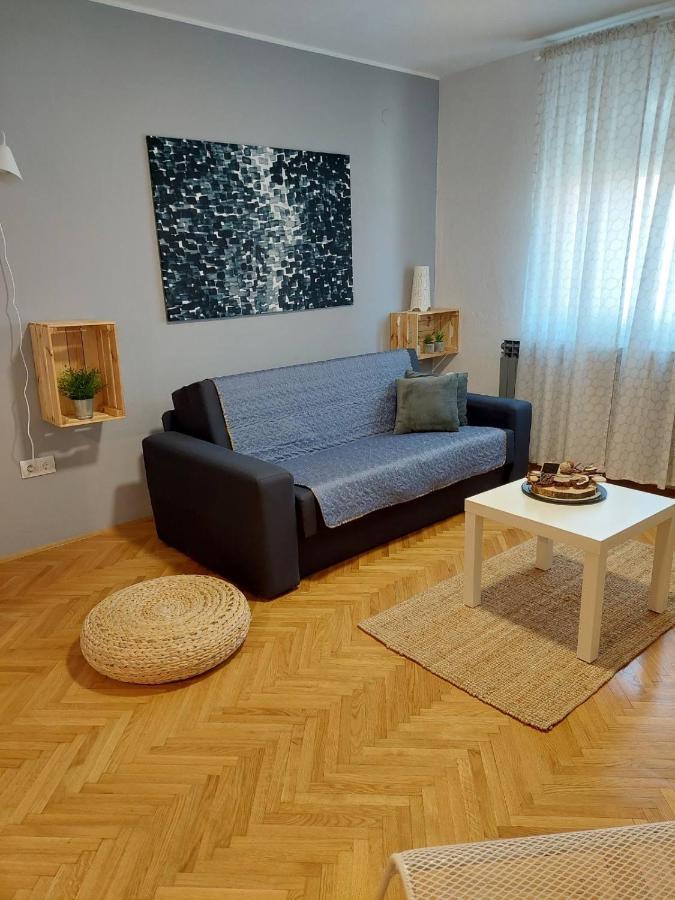 Apartman Hana Apartment Dreznik Grad ภายนอก รูปภาพ